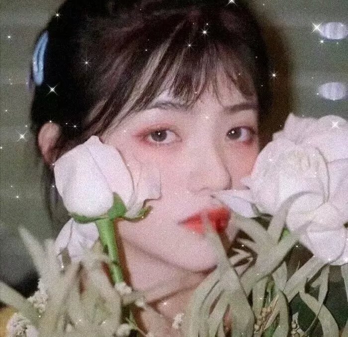 庭怨森森
